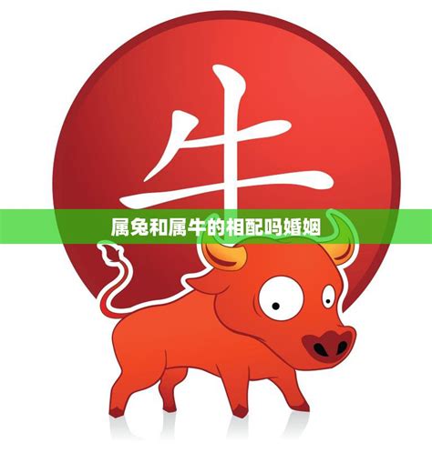 牛和兔合嗎|属牛和属兔相配吗，牛和兔合不合